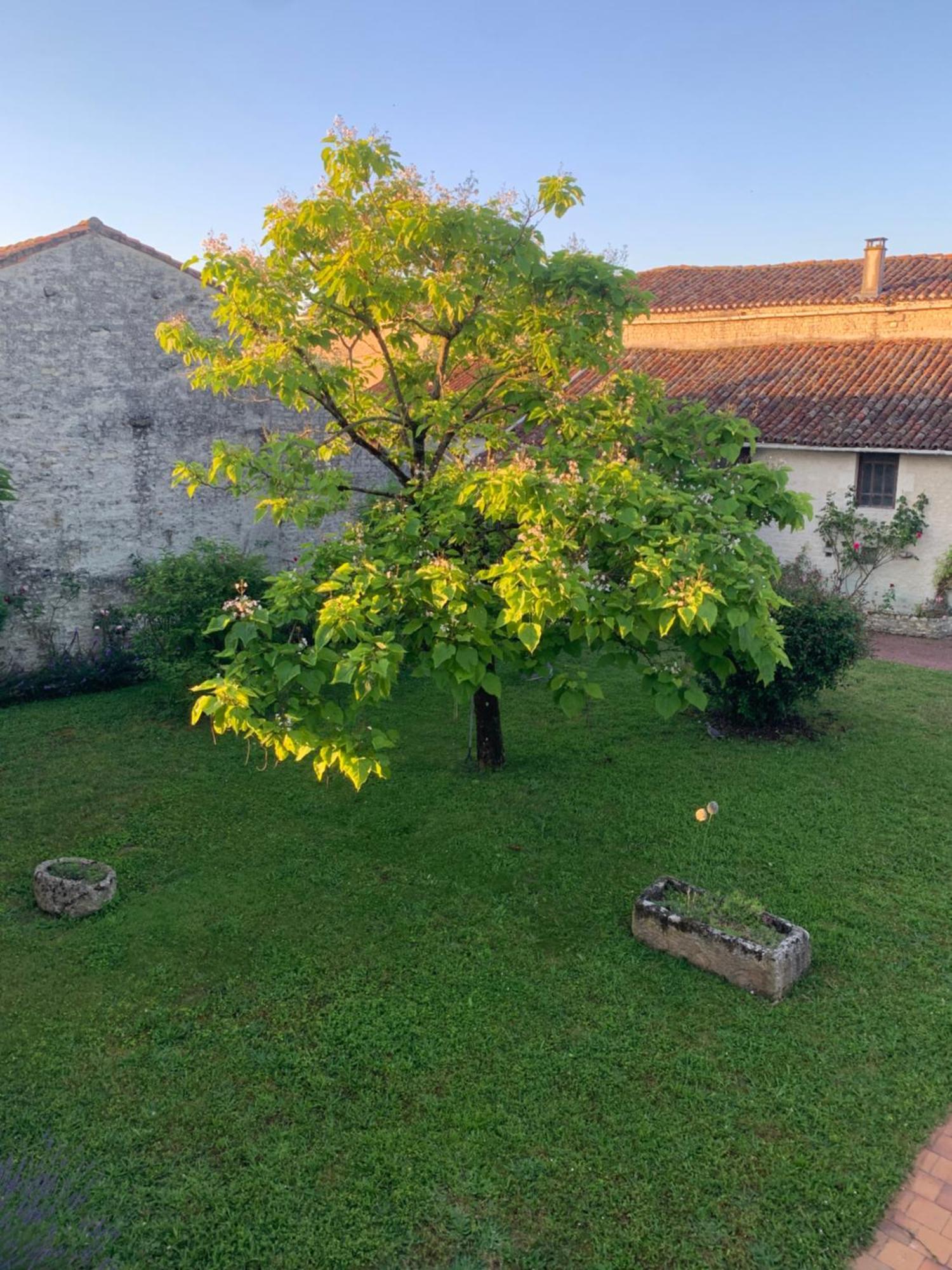 Bed and breakfast The Cool Lounge A Coulonges - Charente Extérieur photo